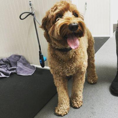 One of our patients smiling after his dental cleaning!