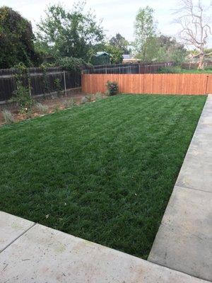 Quality Plus Sod is the perfect way to get a green backyard fast. Formulated for SoCal weather.