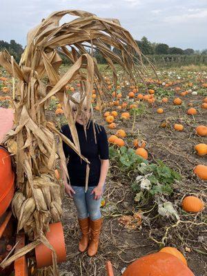 I lost my friend in the Pumpkin patch. I wonder where she went