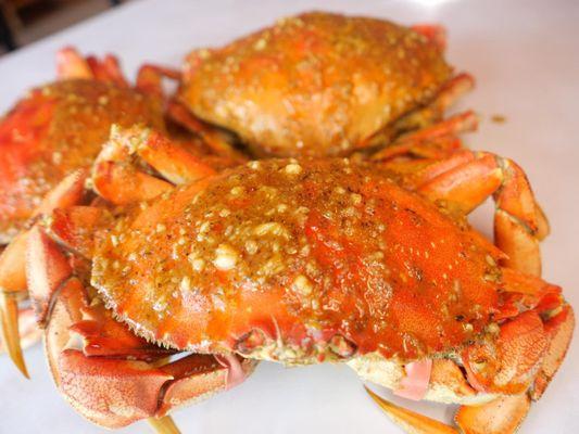 Live Dungeness Crab