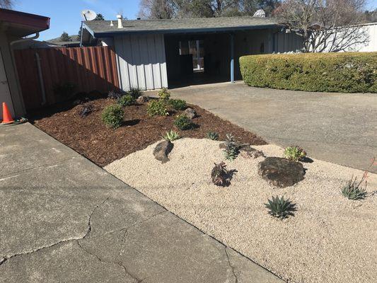 Part succulent rock garden and part low water/low maintenance shrubs, etc.