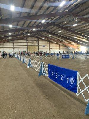 Dog show at the fairgrounds