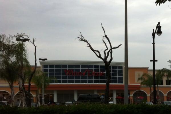 Winn-Dixie has butchers inside the meat market and outside in the parking lot. What a shame to destroy so many young Live Oaks!