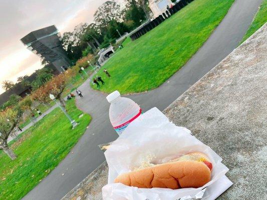 DeYoung in the distance. New Yorker (sans bun). Fed Bik's a bite or two. Lots of water for us both.