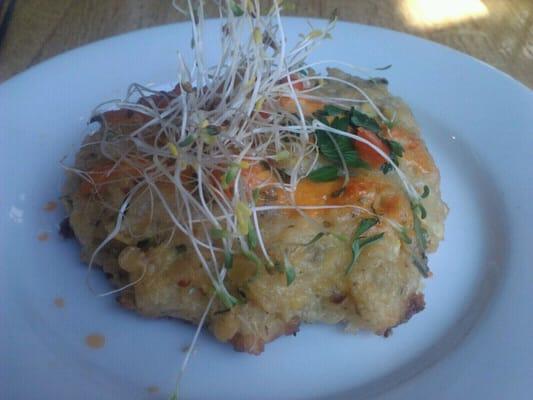 Red lentil zuchinni cake. It was ok. If they added a dipping sauce it would make a huge difference.