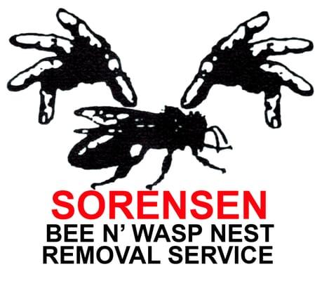 Bee & Wasp Nest Removal Service