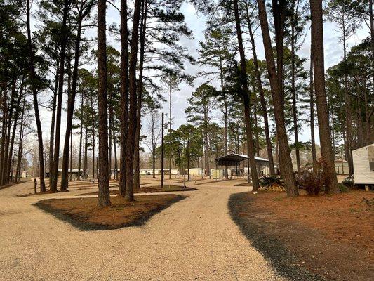 Newly renovated campground area