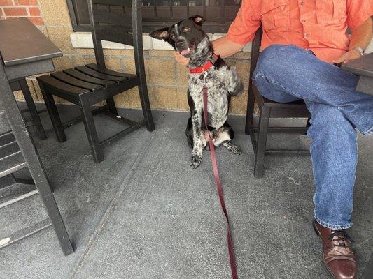 Our dog, Buddy, enjoyed the patio