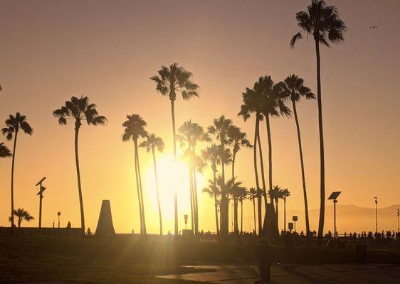 Venice Beach Bike Path