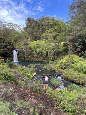 Another waterfall on the road to Hana