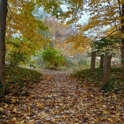 Avon Town Hall Park Trail.