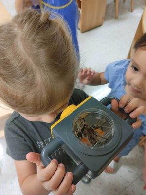 When our class pet, Hairy the tarantula, shed his skin, we took the opportunity to put our scientific observation skills to work!