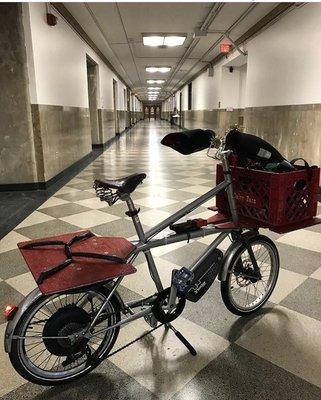 Shorty lurking the halls of Bok making sure you're not late! You can rent a Shorty cargo bike similar to this one. Call for details.