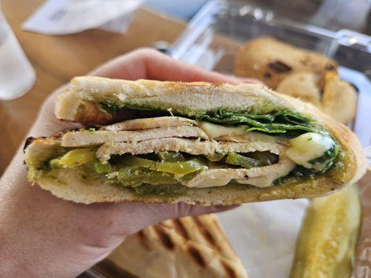 Chicken pesto panini