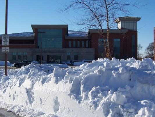 The Blizzard of 2011 hits Tinley Park Public Library!