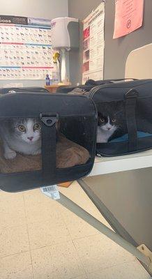 Two happy patients in an exam room.