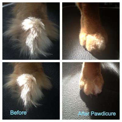 Pawdicure