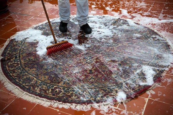 Our tech cleaning a Persian rug