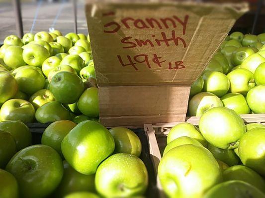 Best apple prices on the harbor