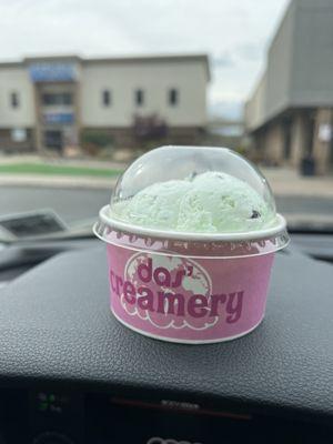 Small mint chocolate chip with to-go lid