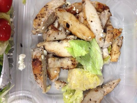 Giant chunks of yellowish white iceberg lettuce and rubbery, inedible chicken breast from the Grilled Chicken Salad.