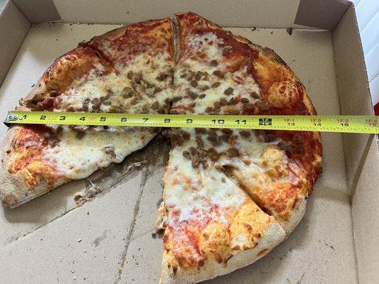 A large 16? inch pizza?