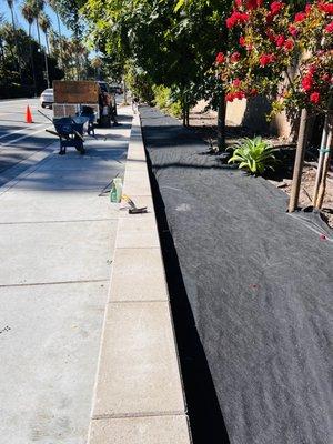 Getting ready for mulch, installation of landscape fabric.