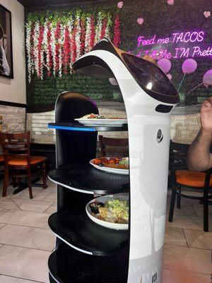 Robotic Food Server