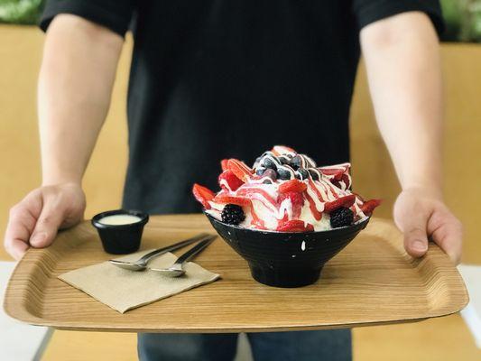 Yogurt Berry Shaved Ice