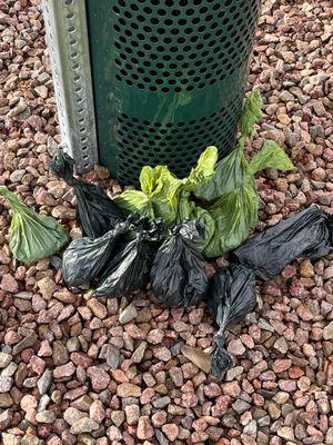 About 10 bags of poop picked up and not even half of what was piled in the park.