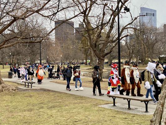 A parade in the park