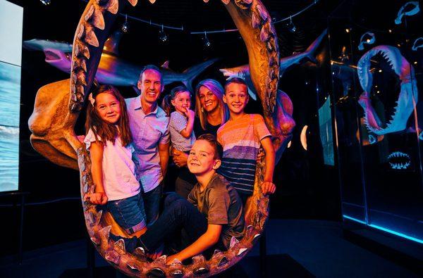 Take a picture with the megalodon shark jaws!