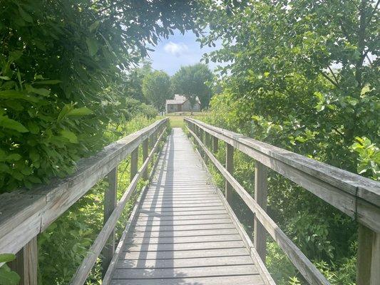 Taylor Bray Farm Boardwalk, Yarmouthport 
Cape Cod Massachusetts