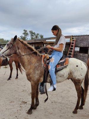 Turkey Creek Stables