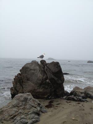 A real poser on Portuguese Beach.