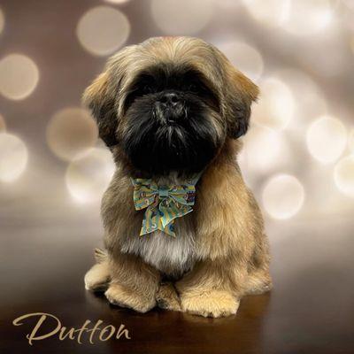 Baby Dutton's 2nd groom.