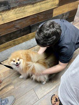 Groomer greeting and meeting our baby