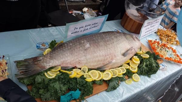 Raskin fish at Kosher Day on Kingston Ave in Crown Heights