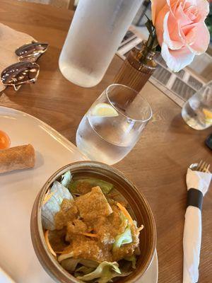 Lunch appetizers: ginger salad & mini crispy egg rolls w sweet tangy sauce