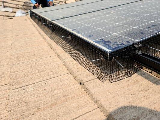 Pigeon Screening under Solar Panels