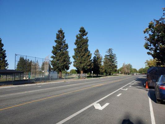 View from across the street (Rainbow Drive)