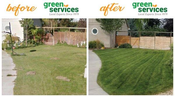 Before & After Using Green Services, Inc