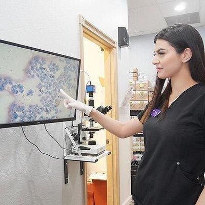 Our technician Isabel explaining a vaginal cytology to one of our clients