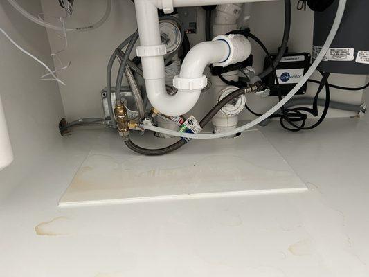 Standing water under sink that's never been used.