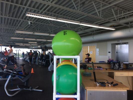 All types of cardio and exercise balls