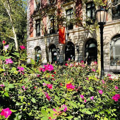 Seward Park Library - New York Public Library