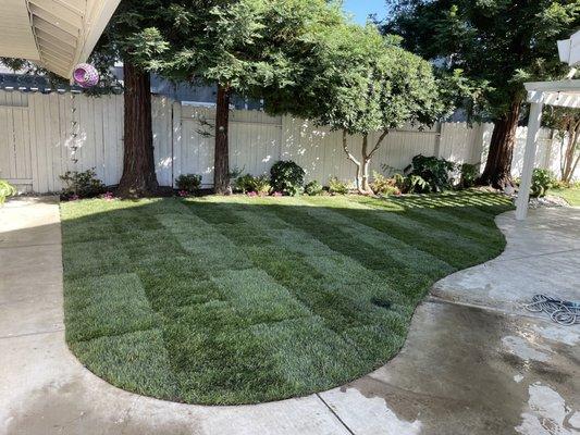 Sod install walk through