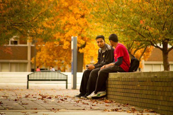 Autumn at NYIT's Long Island (Old Westbury, N.Y.) Campus