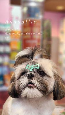 Woof Gang Bakery & Grooming Avondale