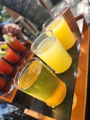 Mimosa Flights